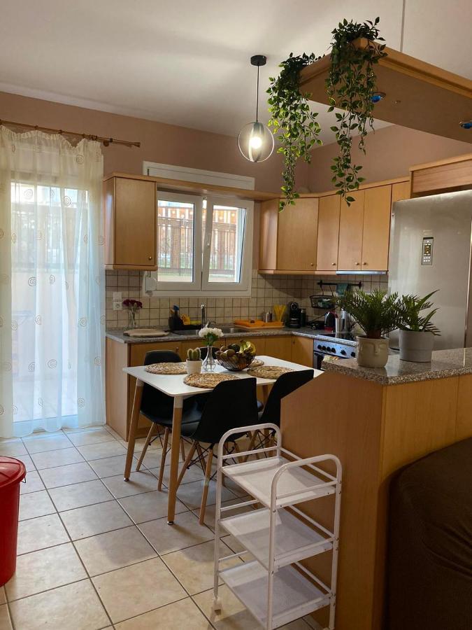 Antonis Apartment Nea Selefkia Εξωτερικό φωτογραφία